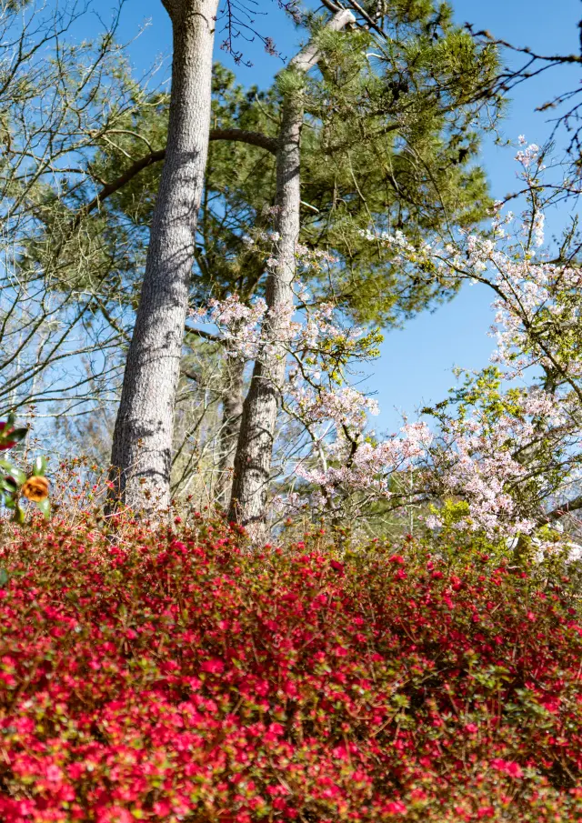 Botanisch park Combrit Cornouaille