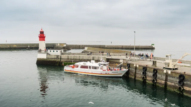Port du Guilvinec Sorties bateau avec les croisières bigoudènes