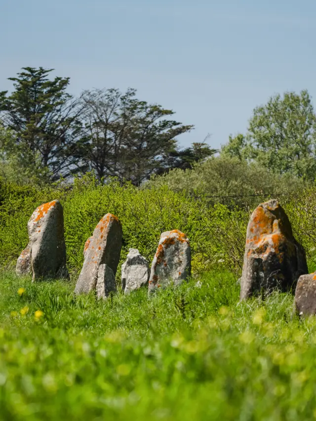 Alignements de la Madeleine - Penmarc'h