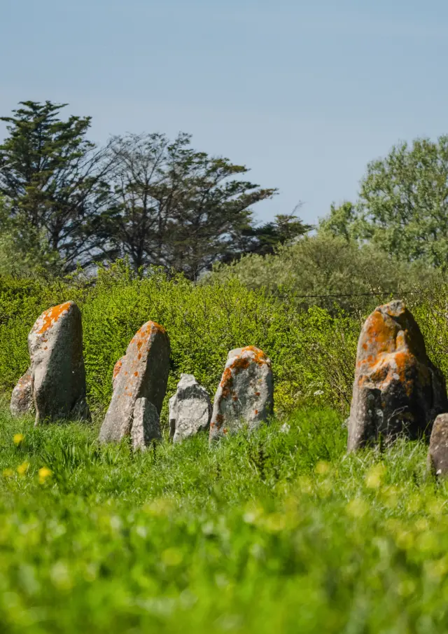 Alignements de la Madeleine - Penmarc'h