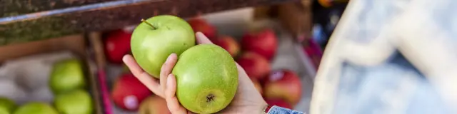 Mercados anuales - Pays bigouden
