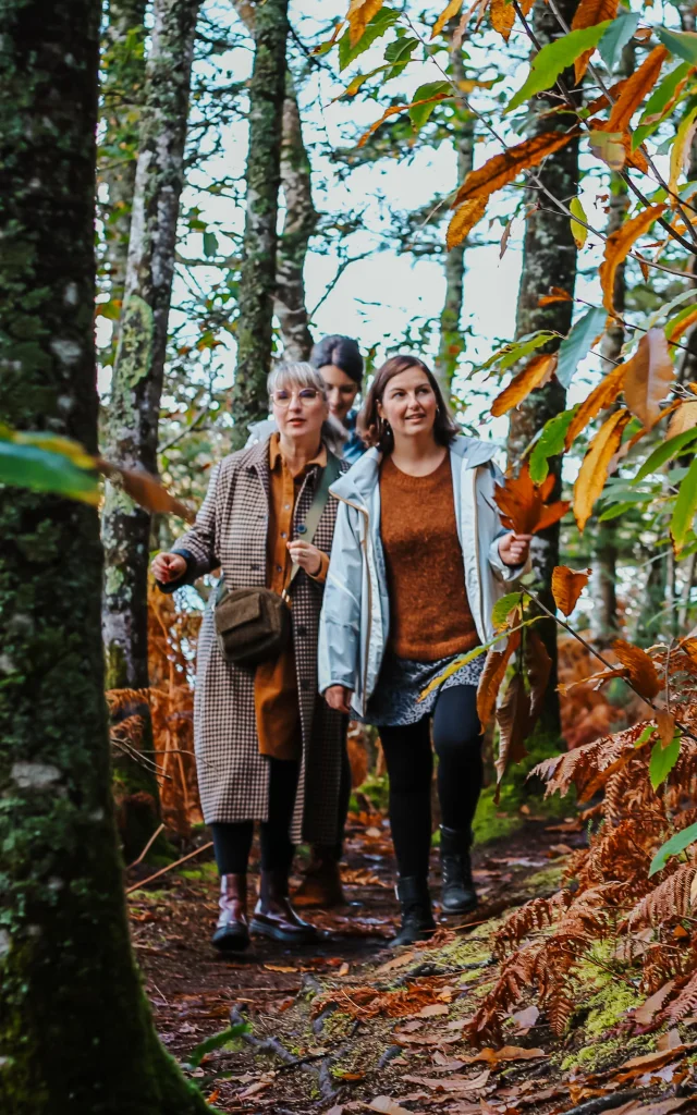 balade dans les bois de Roscouré - Combrit
