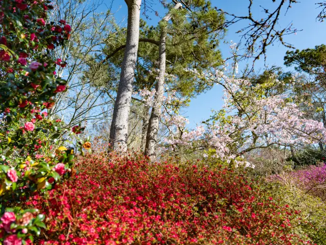 Combrit Parc Botanique Cornouaille