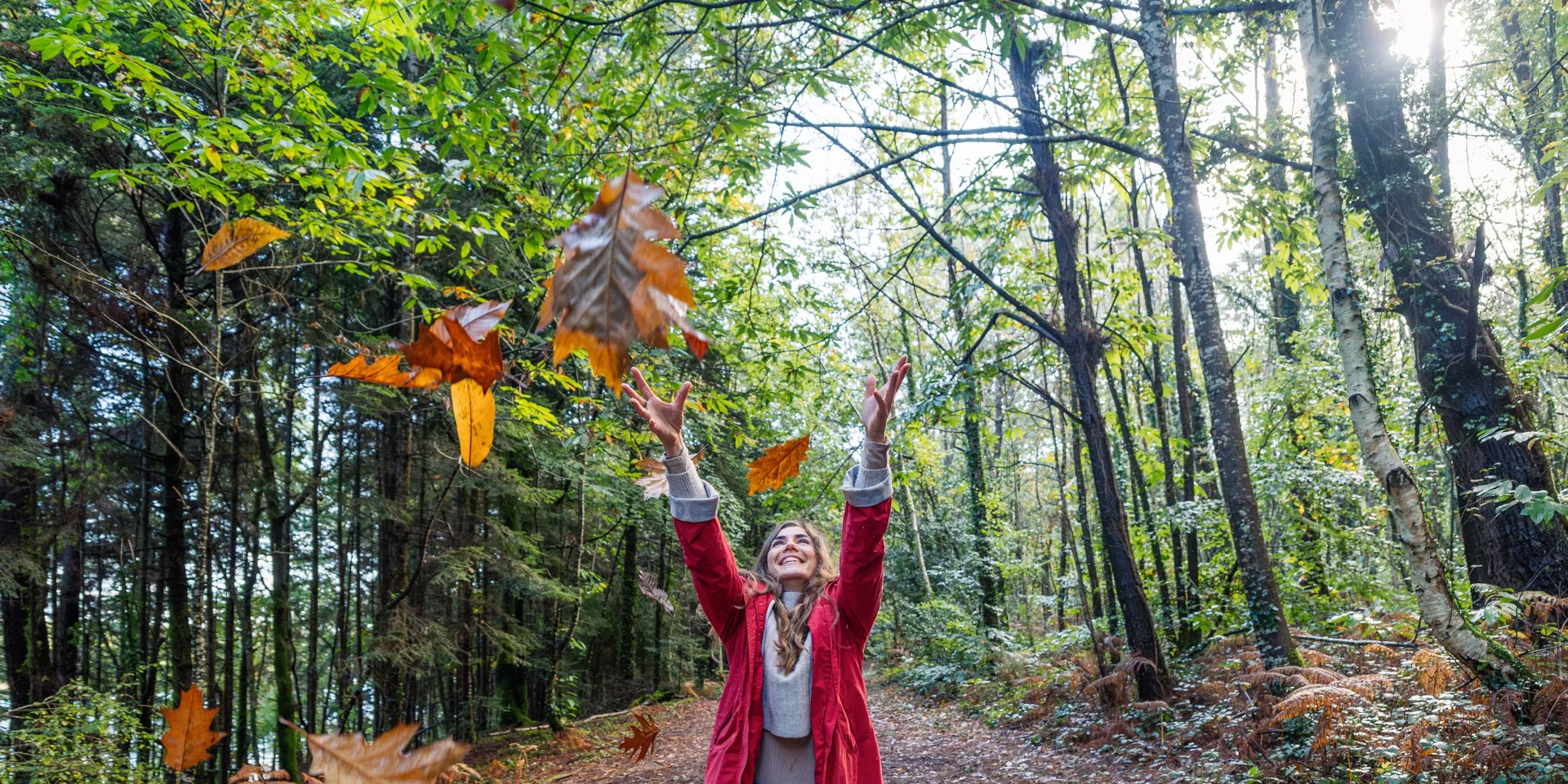 Automne - Bois de Roscouré - Combrit