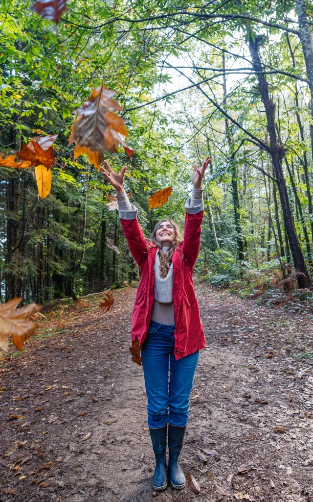 Automne - Bois de Roscouré - Combrit