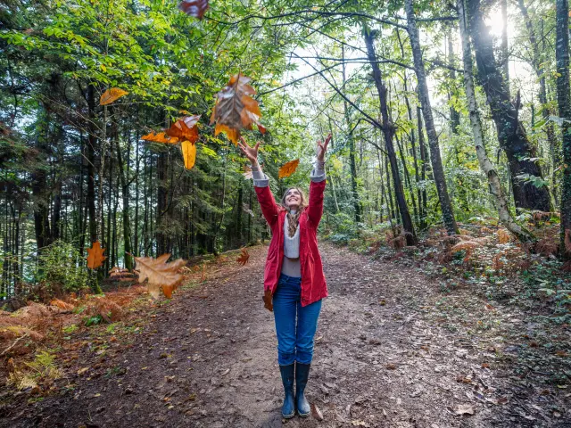 Automne - Bois de Roscouré - Combrit