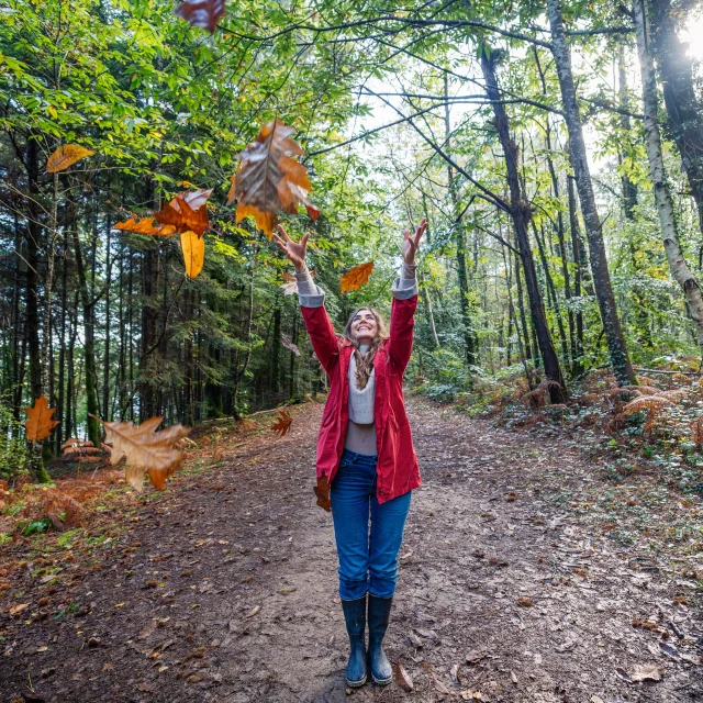 Automne - Bois de Roscouré - Combrit