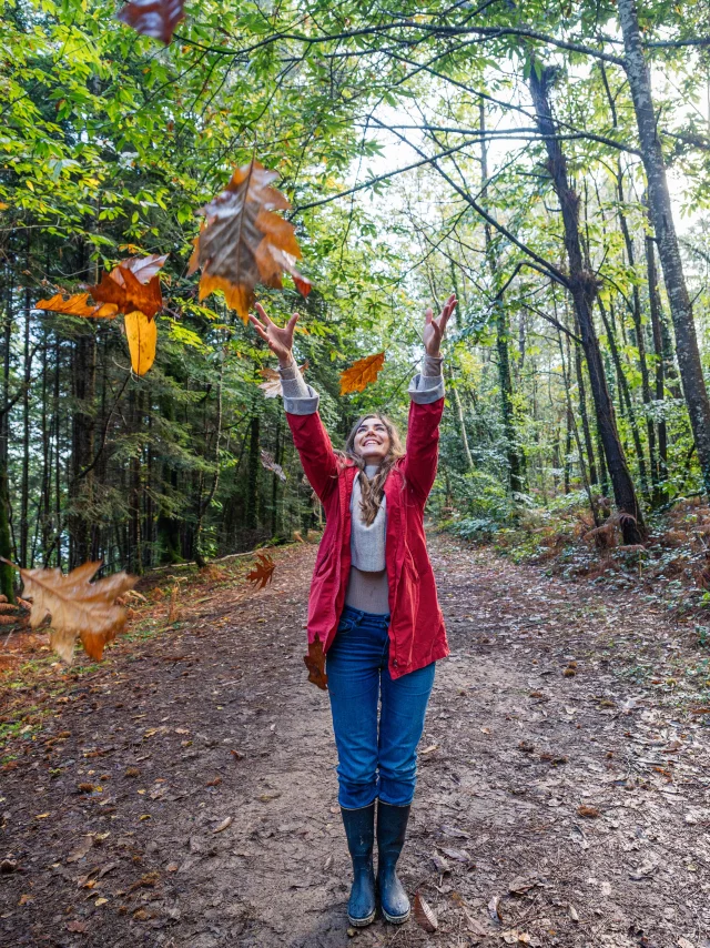 Automne - Bois de Roscouré - Combrit