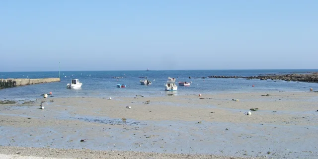 Port de Larvor - Loctudy