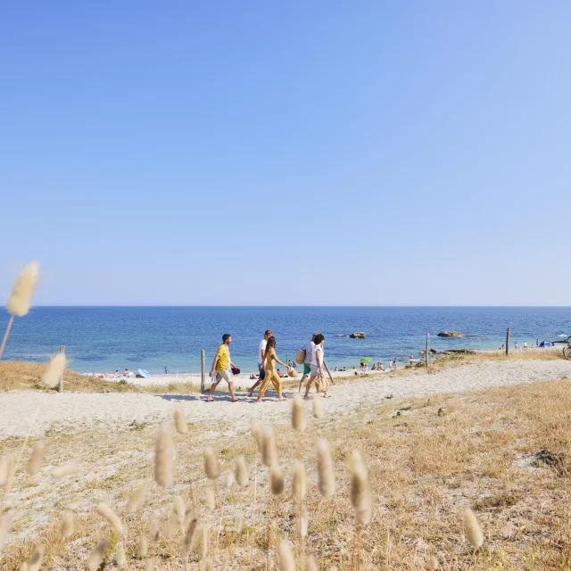 Plage de Kersaux - Léchiagat