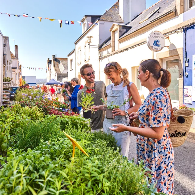 Marché au Guilvinec