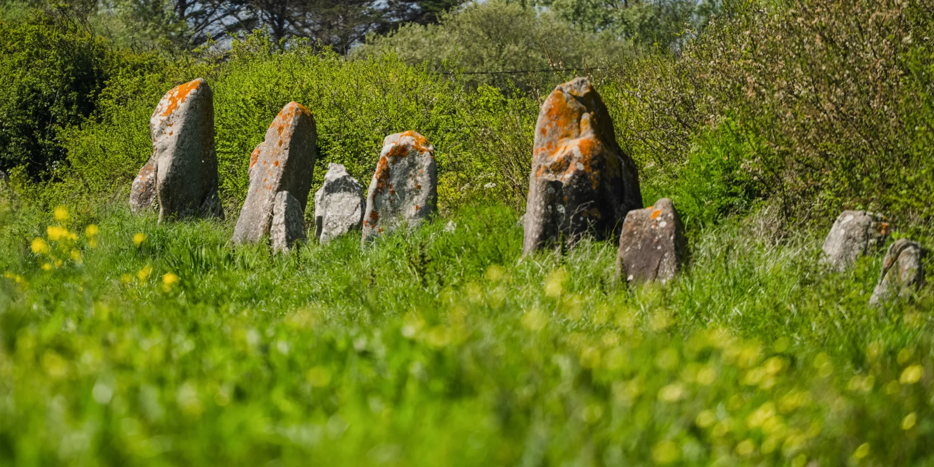 Alignements de la Madeleine - Penmarc'h