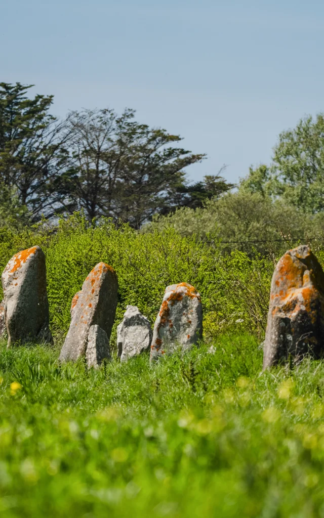 Alignements de la Madeleine - Penmarc'h