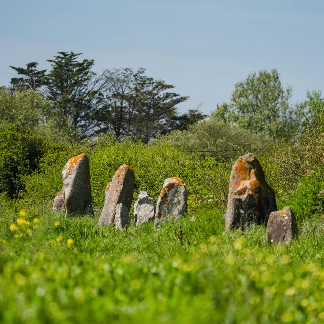 Alignements de la Madeleine - Penmarc'h