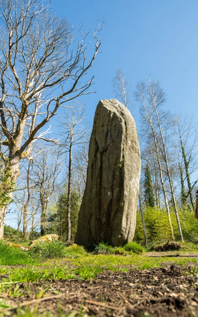 Menhirs de Lespurit Ellen - Plovan