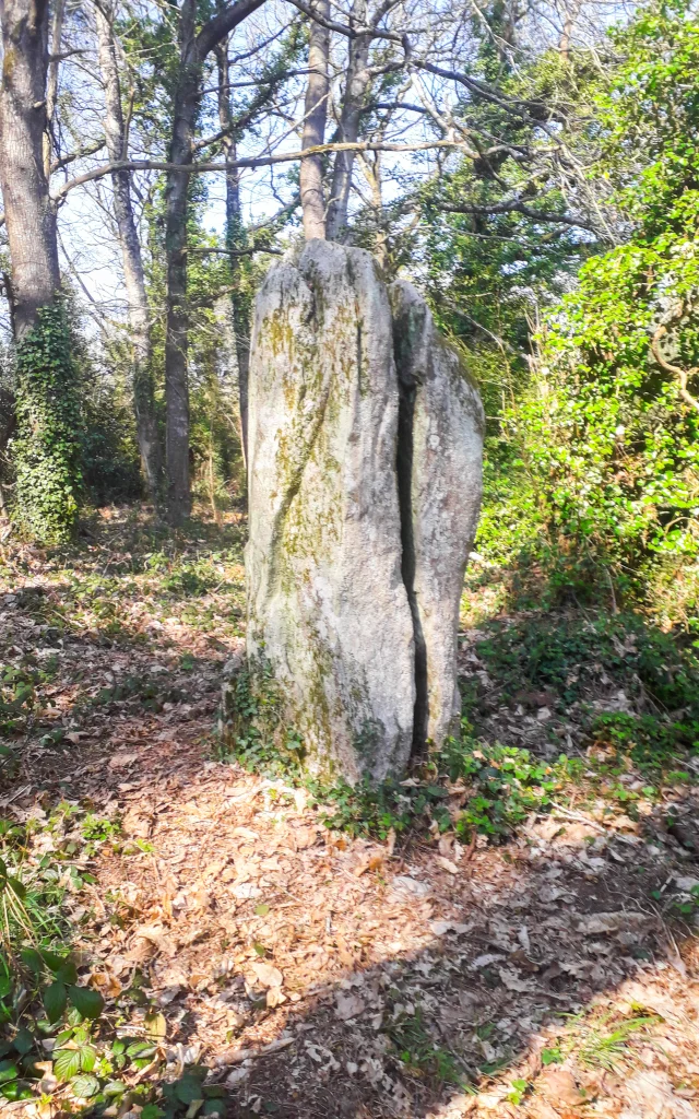 Menhir Kerzuot - Plozevet