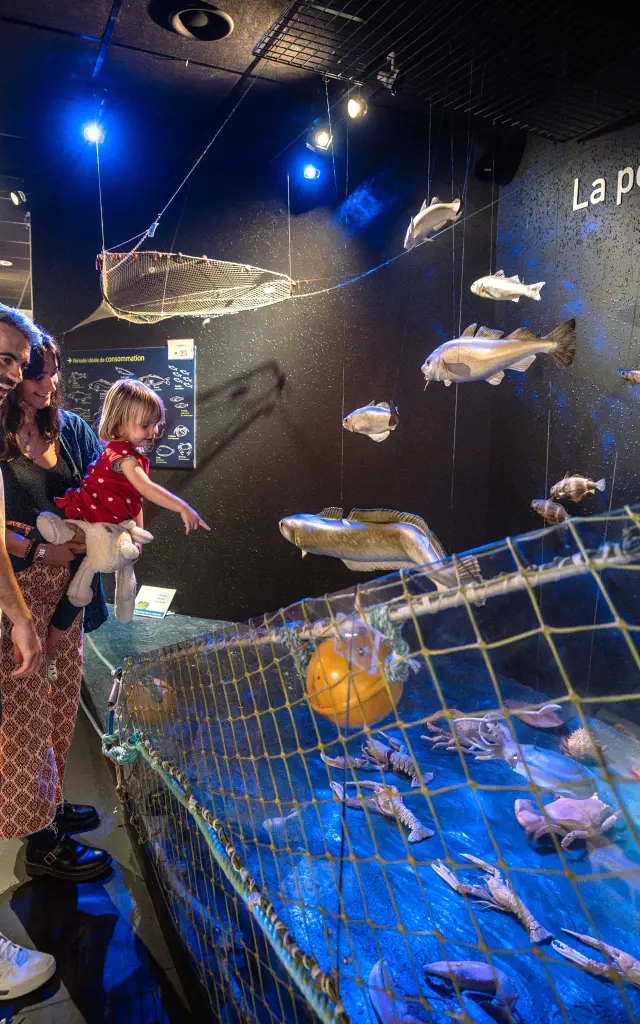 Visite d'Haliotika au Guilvinec