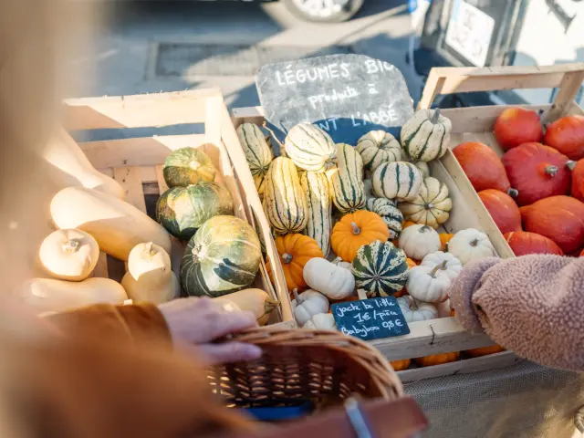 Maraîcher en Pays bigouden