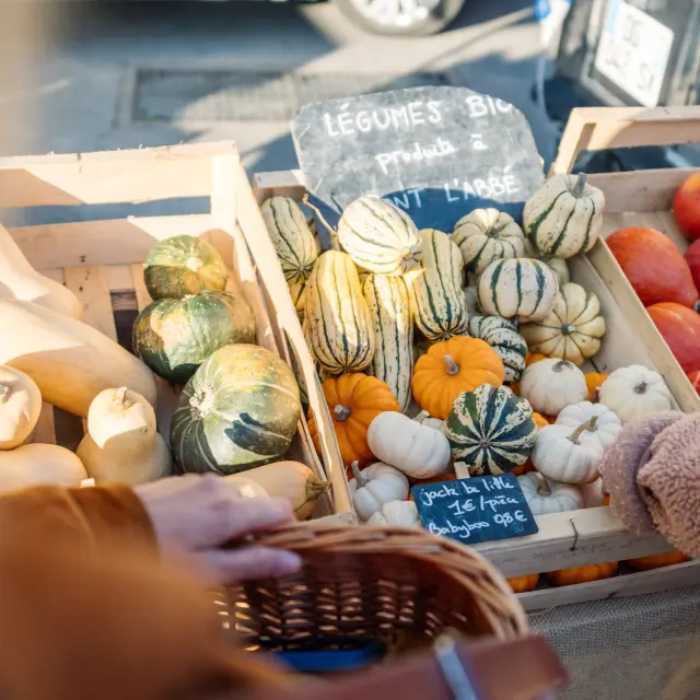 Horticultor en la región de Bigouden