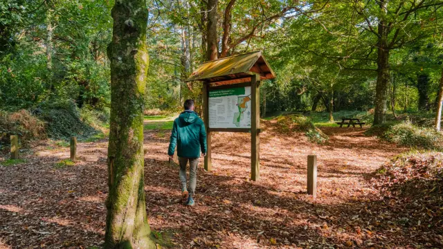 Sentier botanique de Lanrien