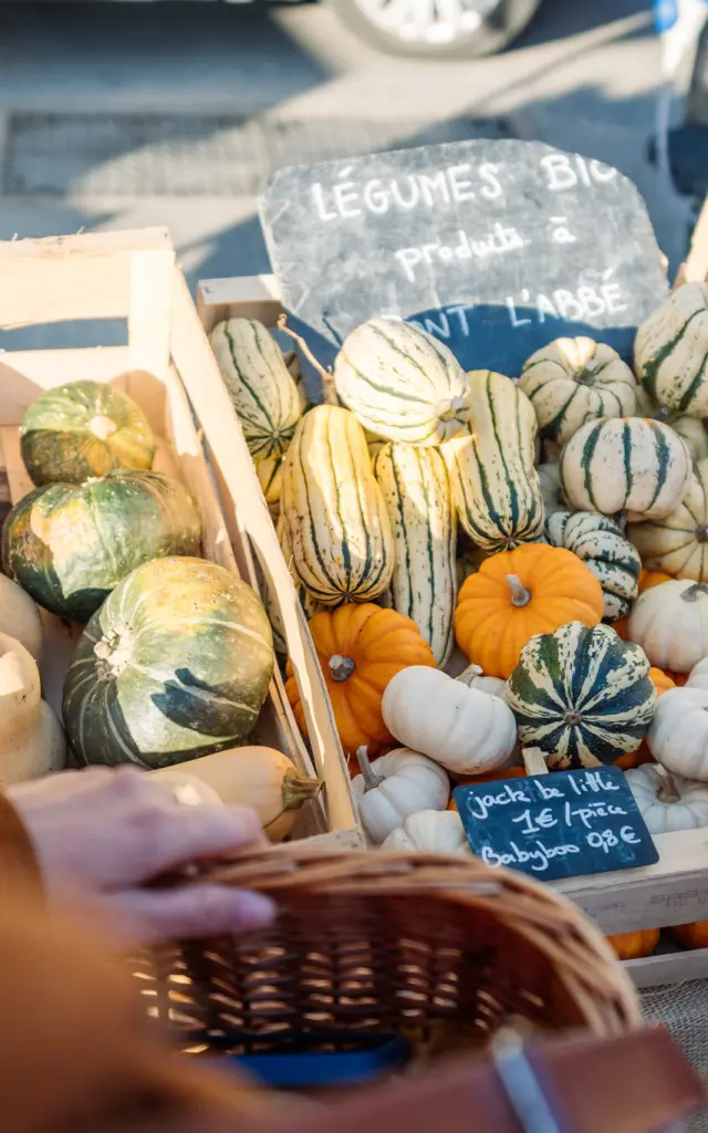 Maraîcher en Pays bigouden