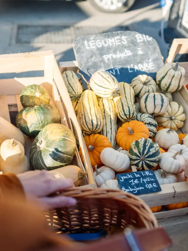 Maraîcher en Pays bigouden
