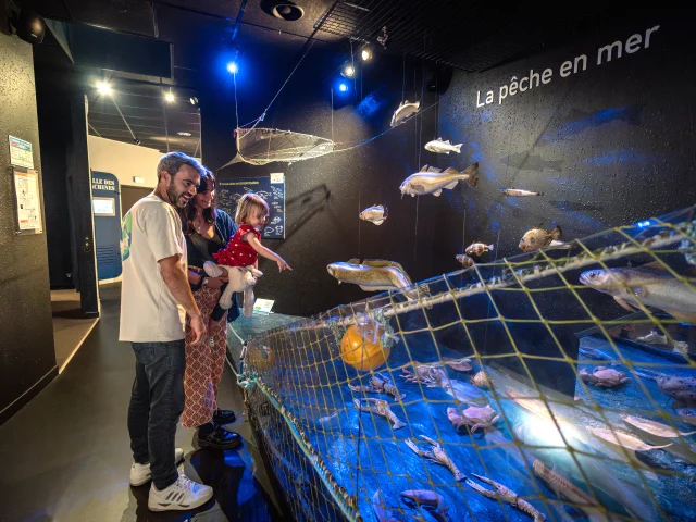 Haliotika visit to Guilvinec