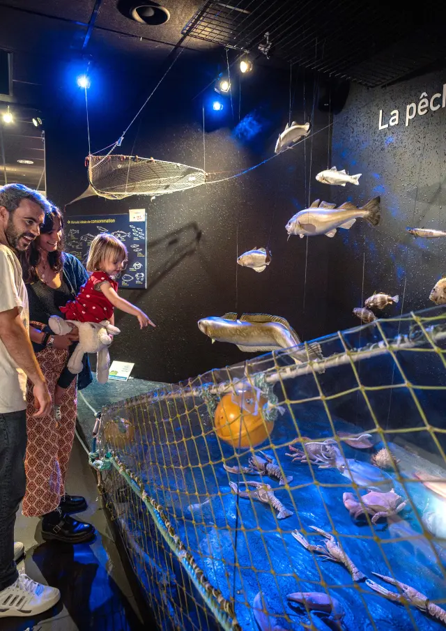 Visite d'Haliotika au Guilvinec