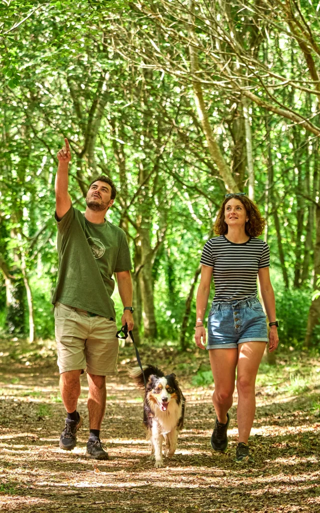 Randonnée avec son chien