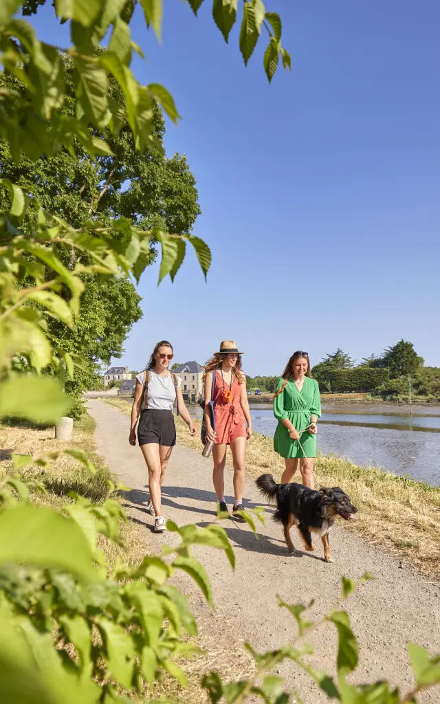 Balade avec son chien au chemin du halage - Pont-l'Abbé