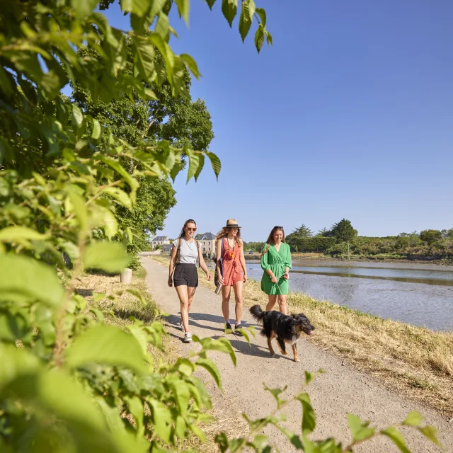 Balade avec son chien au chemin du halage - Pont-l'Abbé
