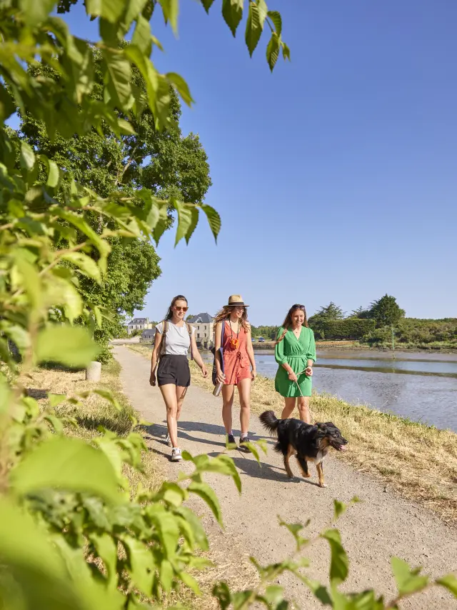 Balade avec son chien au chemin du halage - Pont-l'Abbé