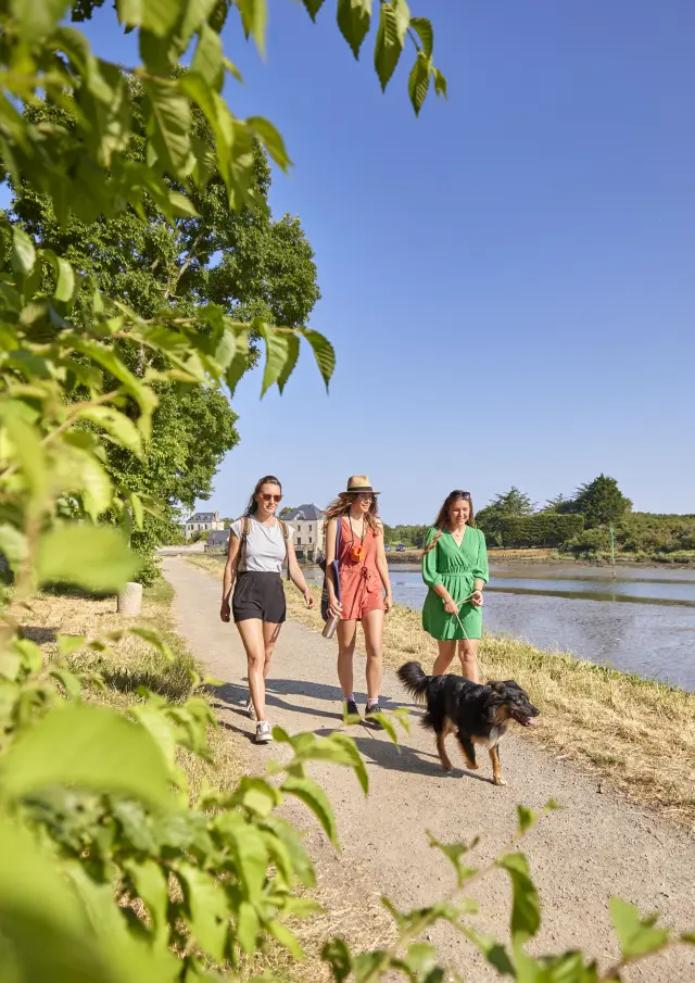 Spaziergang mit dem Hund auf dem Treidelpfad - Pont-l'Abbé