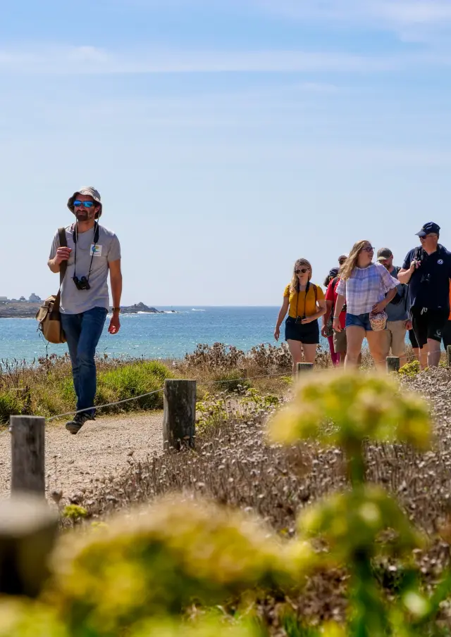 Plomeur La Torche. Discover the flora and fauna with Steven Helias