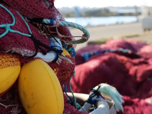 Penmarch Port de Saint Guénolé