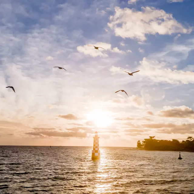 Loctudy LaTourelle des Perdrix