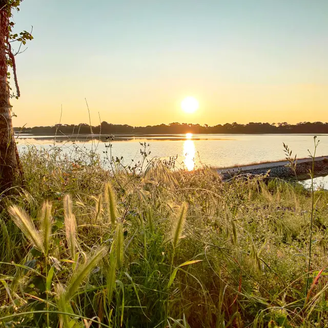 Rivière de Pont-l'Abbé