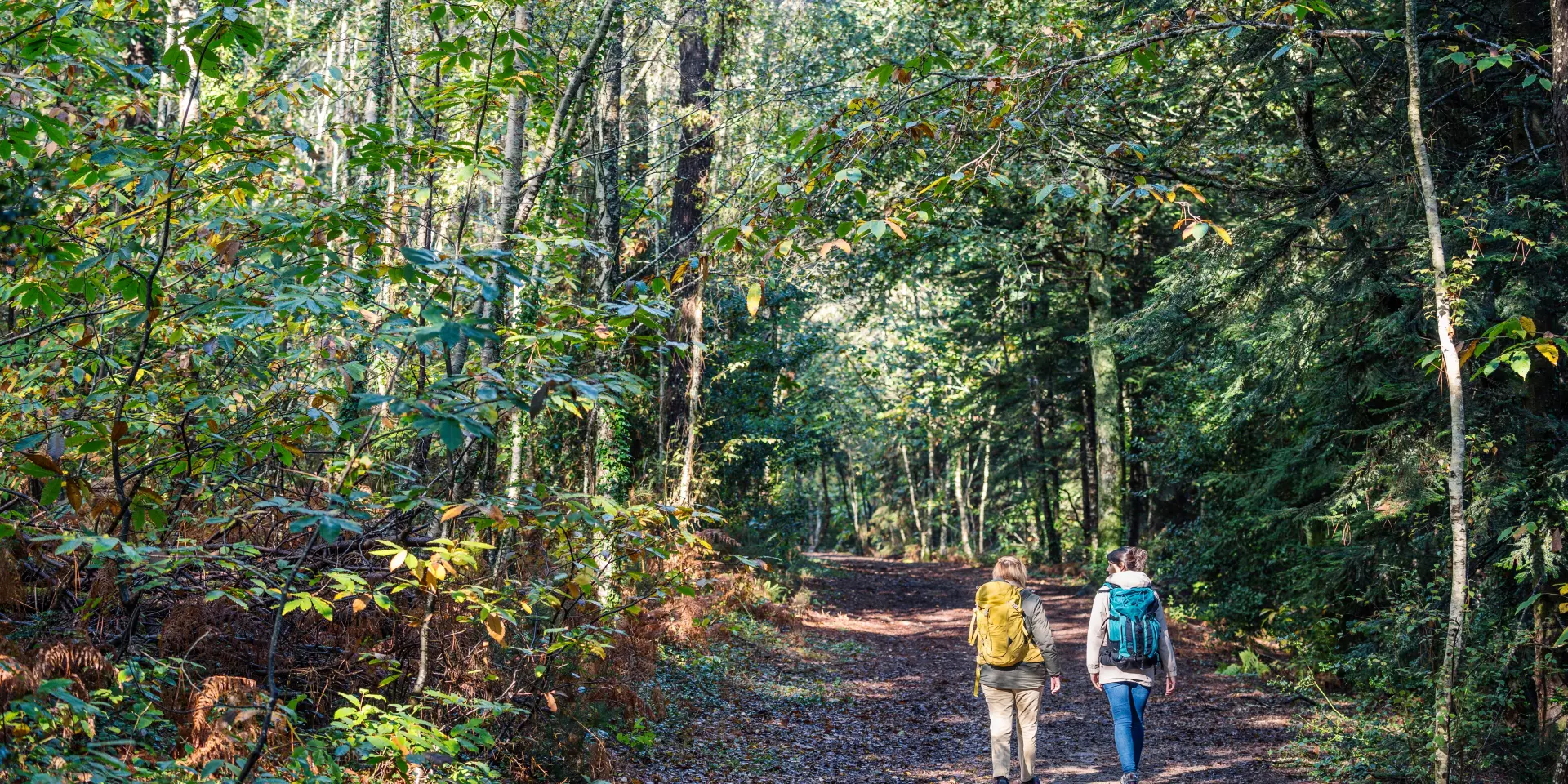 Combrit Bois De Roscoure