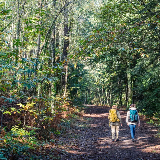 Combrit Bois De Roscoure