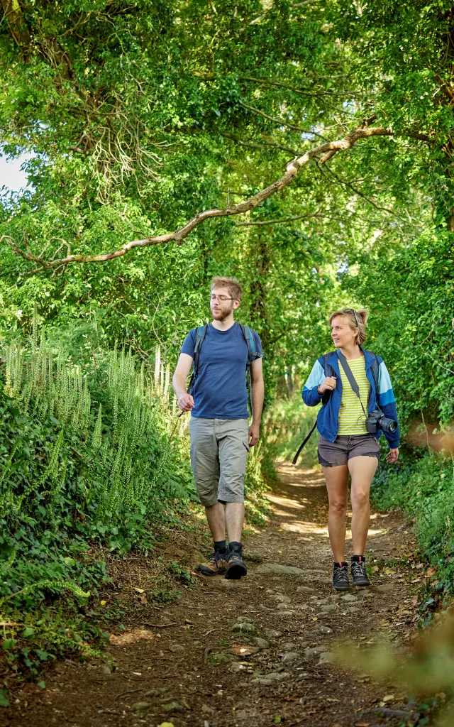 Randonnée dans les bois en haut Pays bigouden