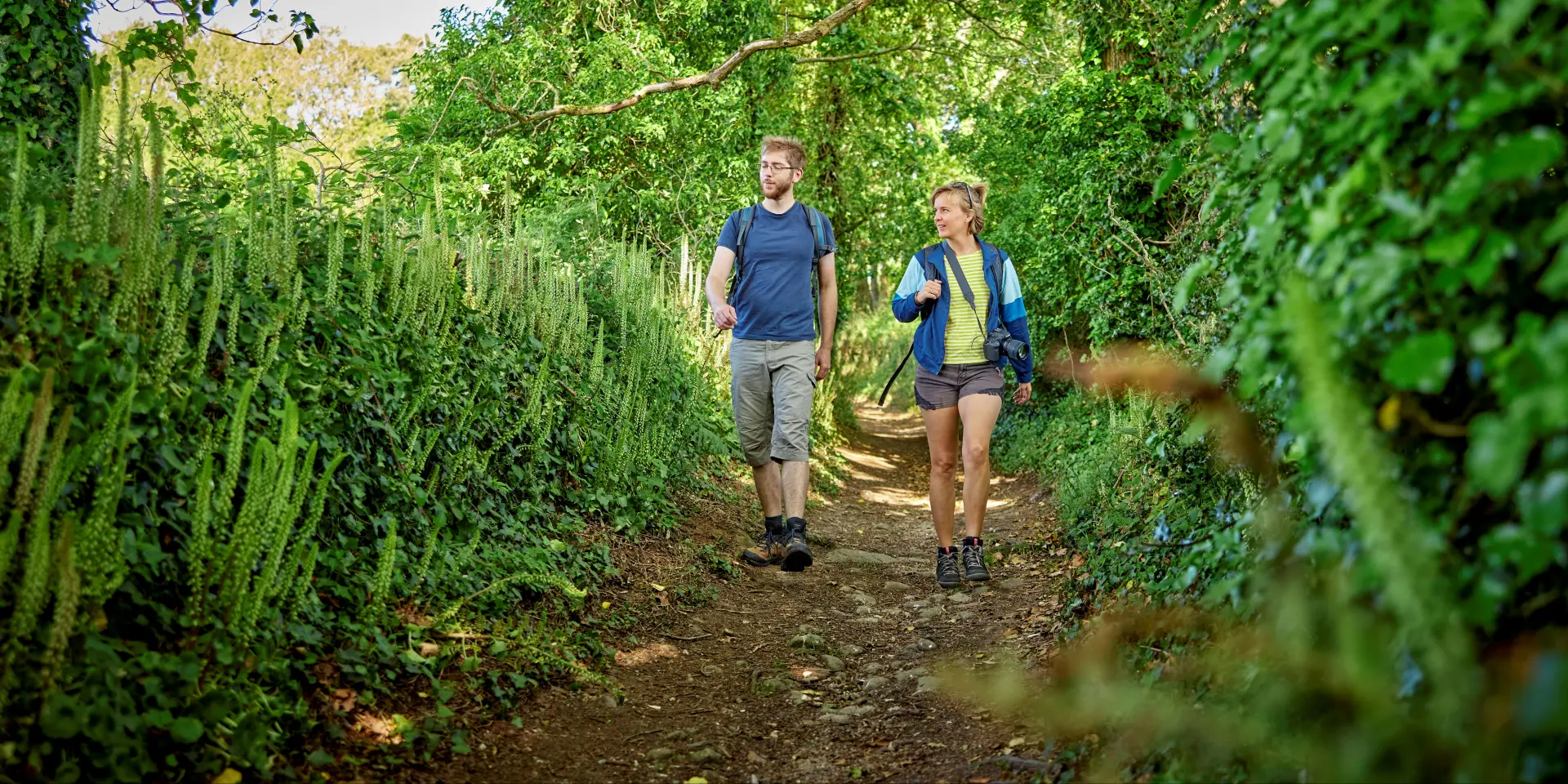 Randonnée dans les bois en haut Pays bigouden