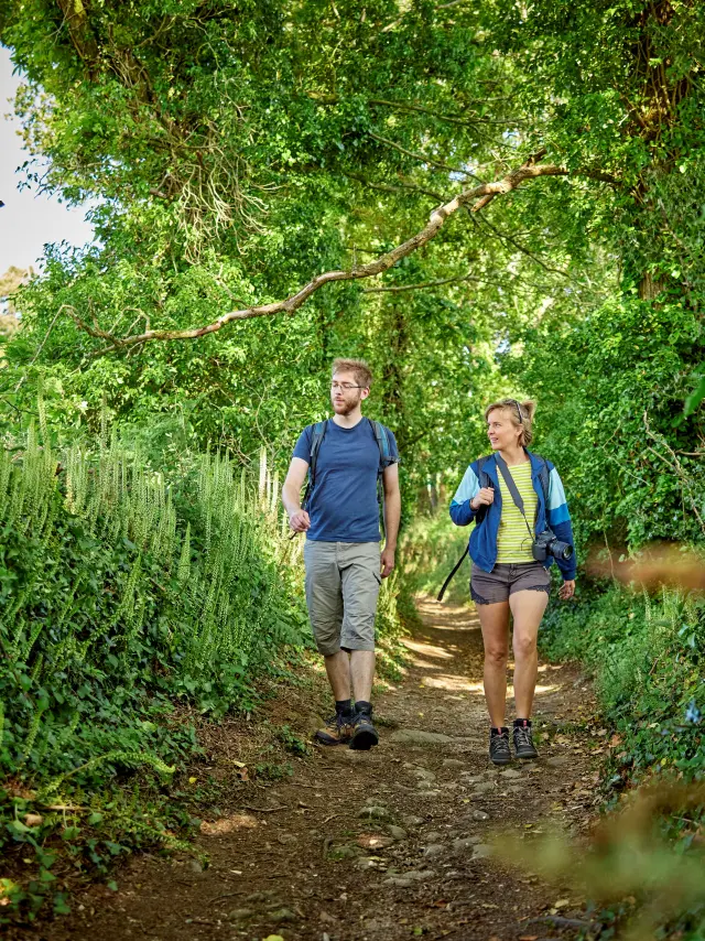 Randonnée dans les bois en haut Pays bigouden
