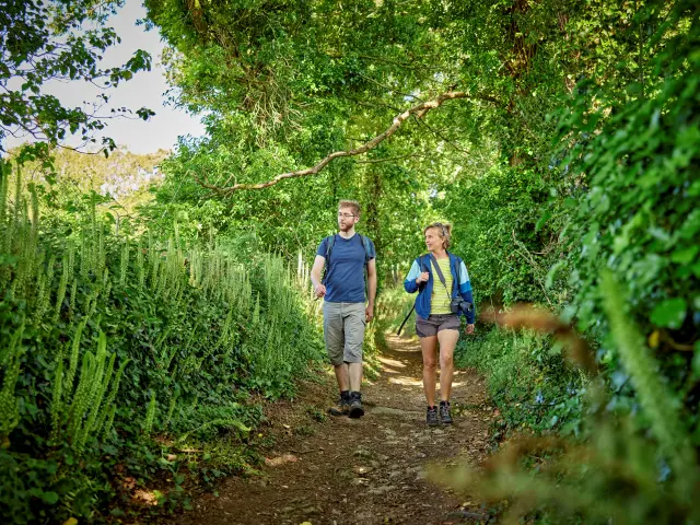 Randonnée dans les bois en haut Pays bigouden