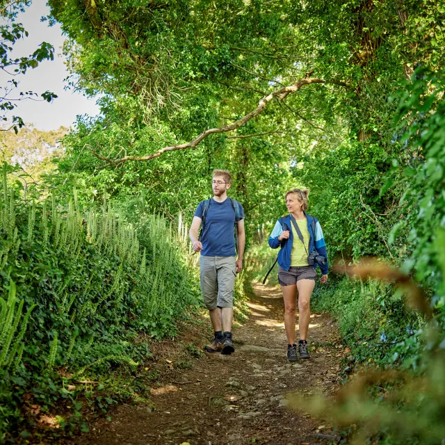 Randonnée dans les bois en haut Pays bigouden