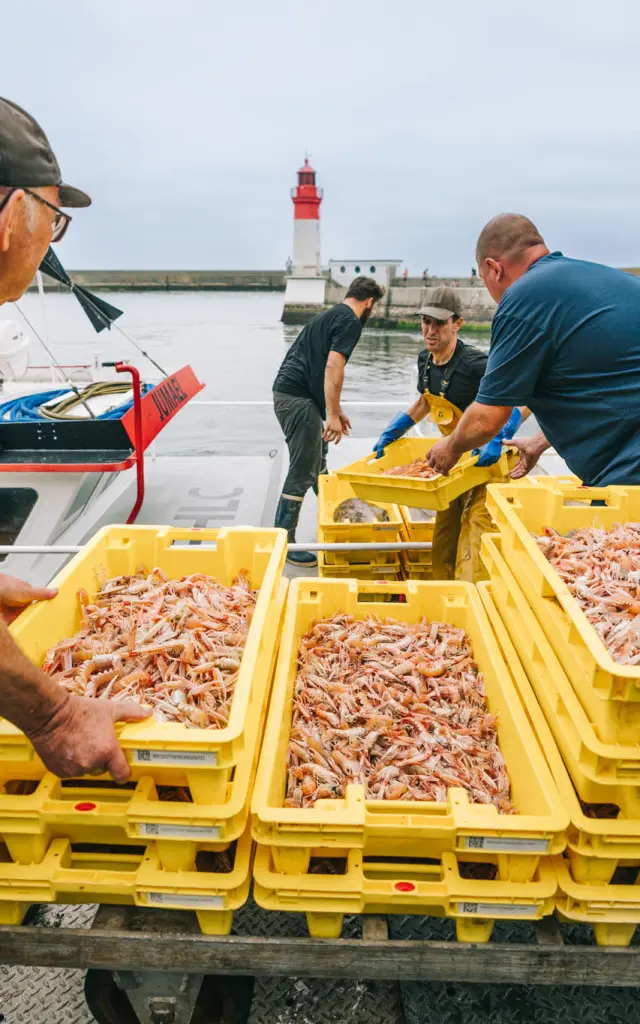 Retour de pêche au port du Guilvinec