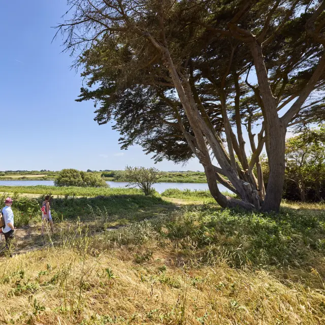 Balade nature à Tréguennec