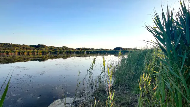 Tréguennec - Etang de Saint Vio
