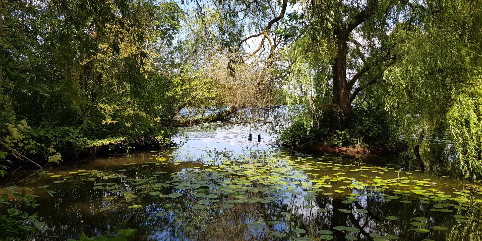 Chabaud-Latour pond