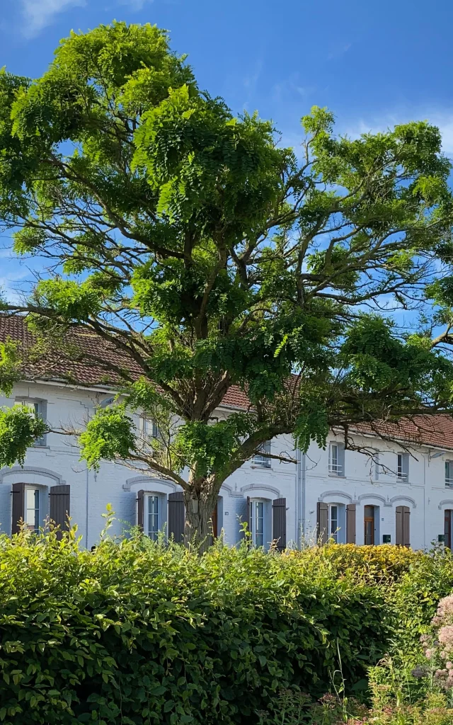 Le Coron des 120 in Valenciennes und Anzin