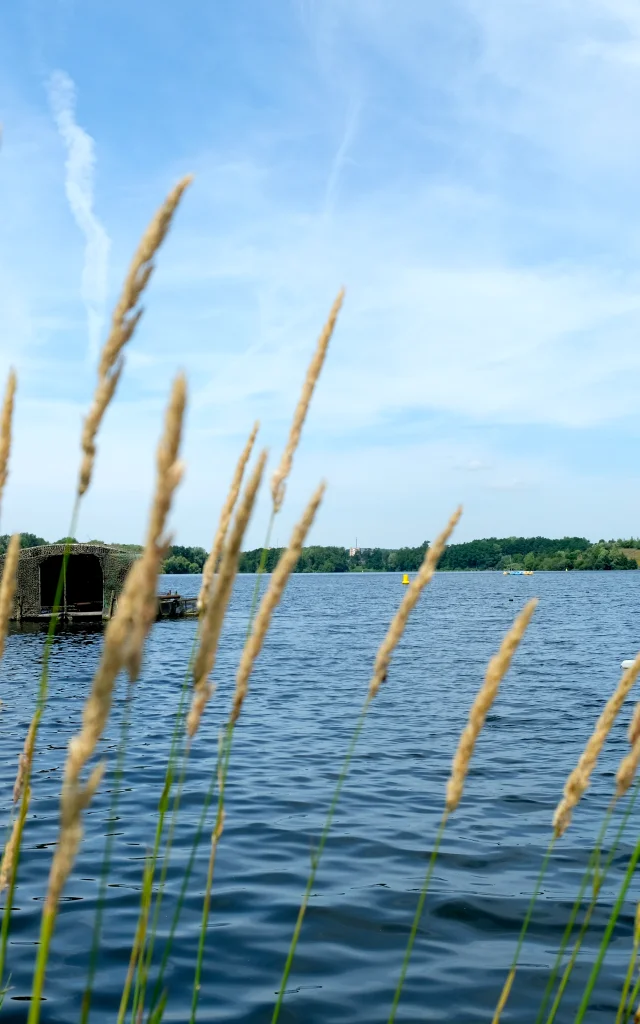 Chabaud-Latour pond -Ramsar site